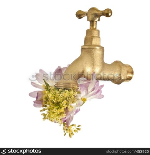 A faucet that sends out the flowers