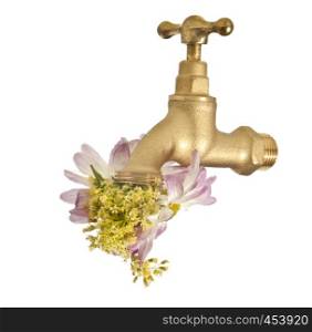 A faucet that sends out the flowers