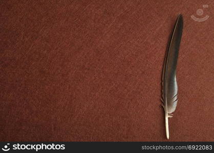 A feather isolated on a brown background