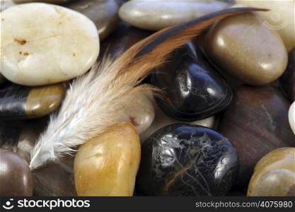 A feather on stones