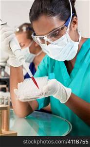 A female Asian medical or scientific researcher or doctor using a pipette and sample tray to test blood sample in a laboratory with her blond female colleague out of focus behind her.