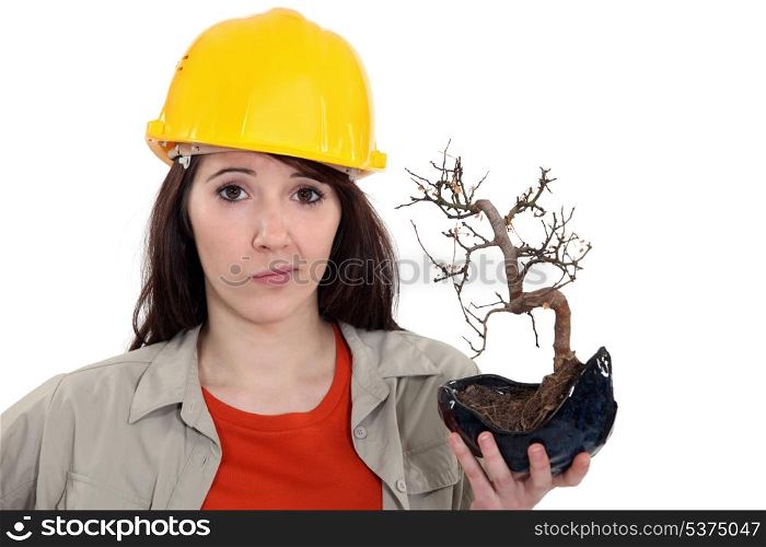 A female construction worker holding a dead plant.