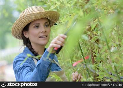 a female gardener trimming plant