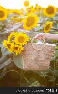 A female hand in a large field of sunflowers, holds a straw bag with a large bouquet of sunflowers. A female hand in a large field of sunflowers, holds a straw bag with a large bouquet of sunflowers.