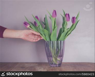 A female hand is touching a bouquet of purple tulips in a vase