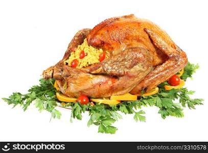 A festive or thanksgiving turkey on a bed of italian flat-leaf parsley, garnished with slices of orange and cherry tomatoes and stuffed with rice