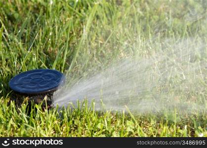 a field in summer is a sprinkler watering