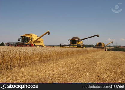 a field is abgeernet with combine harvesters. harvest in agriculture