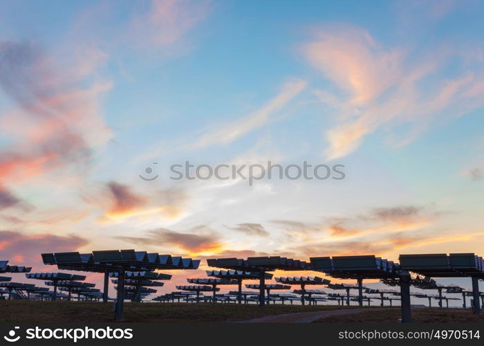 A field of photovoltaic solar panels providing alternative green energy at sunrise or sunset