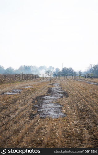 A field with burnt stubble. Countryside natural landscape. Cereal harvesting.. Field with burnt stubble. Countryside natural landscape. Cereal harvesting