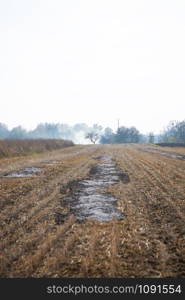 A field with burnt stubble. Countryside natural landscape. Cereal harvesting.. Field with burnt stubble. Countryside natural landscape. Cereal harvesting