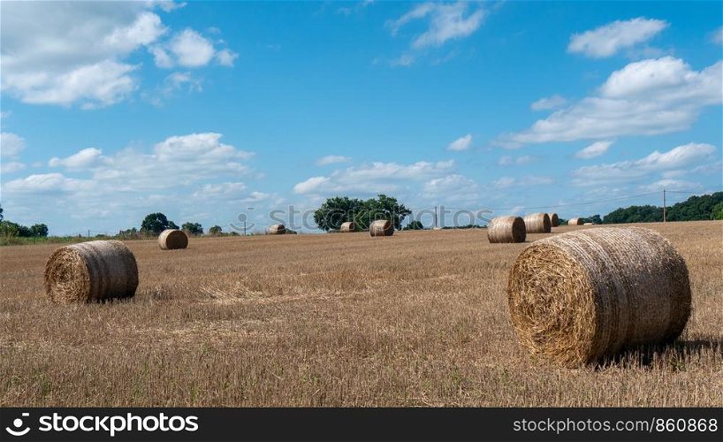 a field with straw bales after harvest on a background cloudy sky