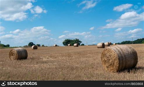 a field with straw bales after harvest on a background cloudy sky