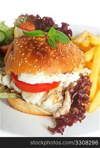 A fish burger - a fillet of fried fish in a bun with lollo rosso lettuce, tomato and a creamy garlic topping, served with a salad and fries.