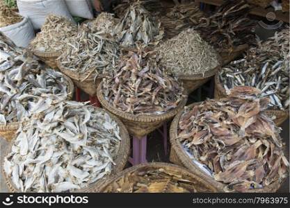 a fish market at a marketstreet in the City of Mandalay in Myanmar in Southeastasia.. ASIA MYANMAR MANDALAY MARKET FOOD FISH
