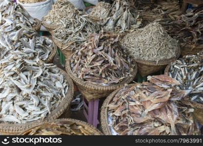 a fish market at a marketstreet in the City of Mandalay in Myanmar in Southeastasia.. ASIA MYANMAR MANDALAY MARKET FOOD FISH