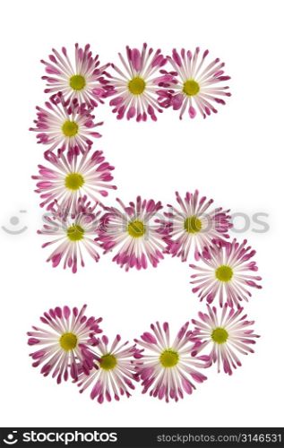A Five Made Of Pink And White Daisies