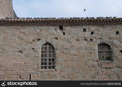 A flock of birds on a roof