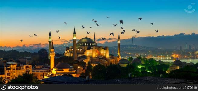 A flock of birds over the Hagia Sophia mosque