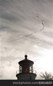 A flock of Geese fly overhead near an Oregon Lighthouse