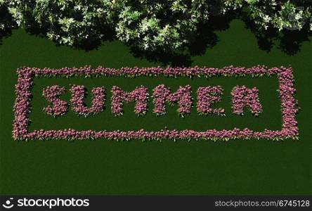 "A flower bed with pink flowers growing in a way that they spell the word "Summer" on a green lawn.. The word "Summer" written with flowers."