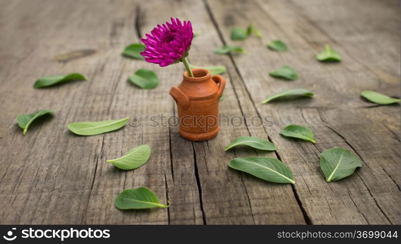 A flower pot with leaves on wooden background.