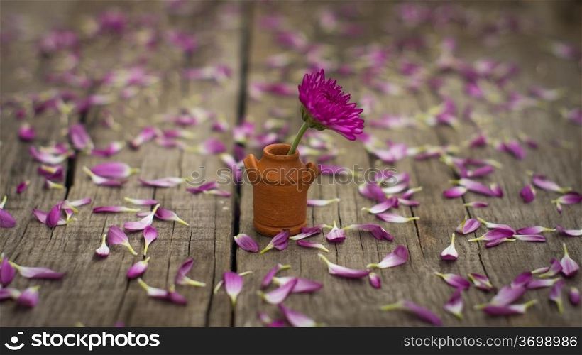 A flower put with a Purple flower on wood background.