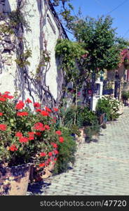 A flowery facade of multiple flowers and vineyard.