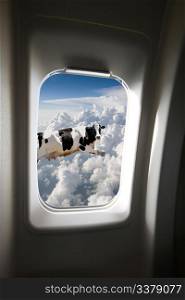 A flying cow viewd out a plane window