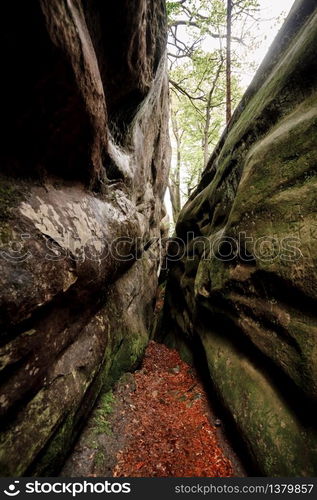 A footpath between rocks, the rocks are overgrown with moss.. A footpath between rocks, the rocks are overgrown with moss