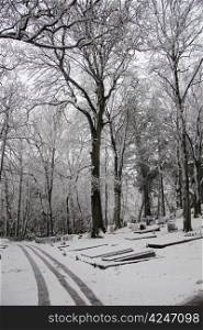 A forest cemetery in the winter, covered in snow