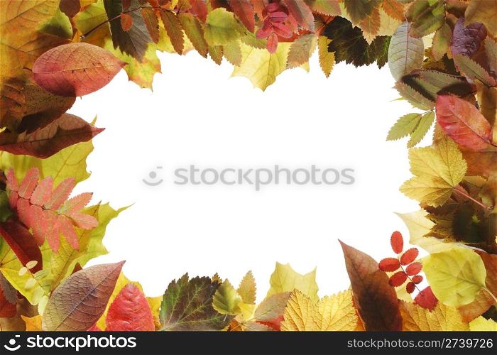 A frame made of different autumn season leaves.