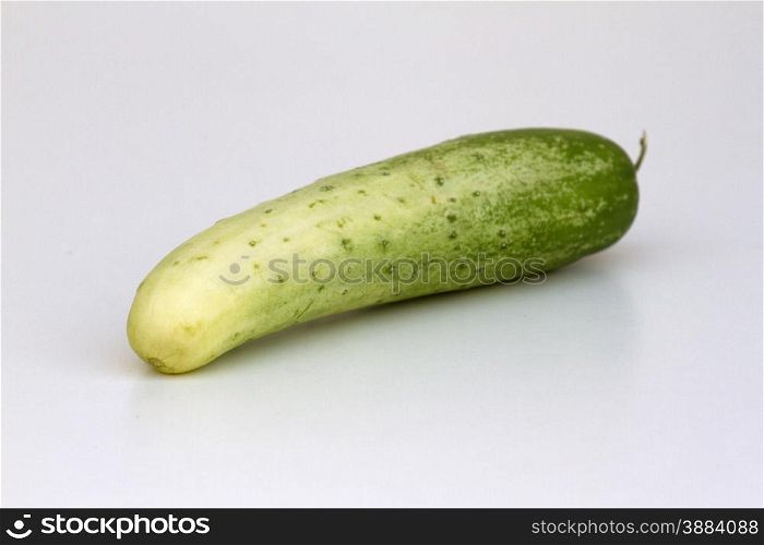 A fresh and tasty green vine ripened garden grown cucumber isolated on white. A fresh and tasty green vine ripened garden grown cucumber isolated on white.