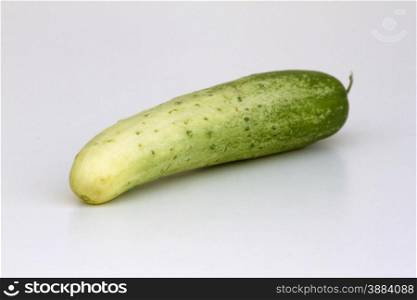 A fresh and tasty green vine ripened garden grown cucumber isolated on white. A fresh and tasty green vine ripened garden grown cucumber isolated on white.