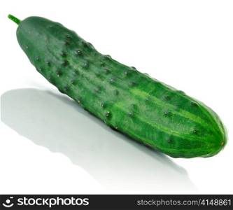 a fresh cucumber on white background