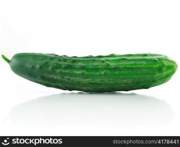 a fresh cucumber on white background