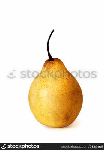 A fresh ripe pear isolated on white background. fresh ripe pear