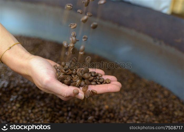 a fresh roasted coffee beans