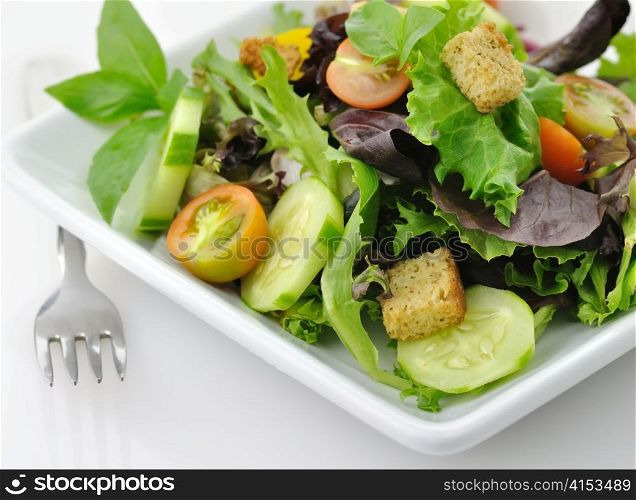 a fresh vegetable salad in a white dish, close up