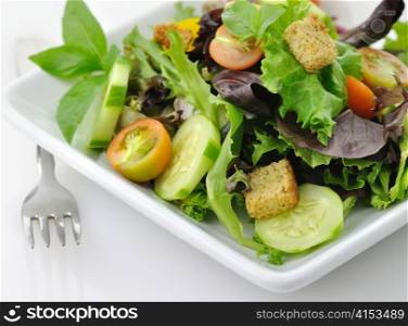a fresh vegetable salad in a white dish, close up