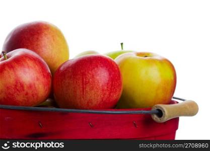 A freshly harvested basket of apples ready for market.
