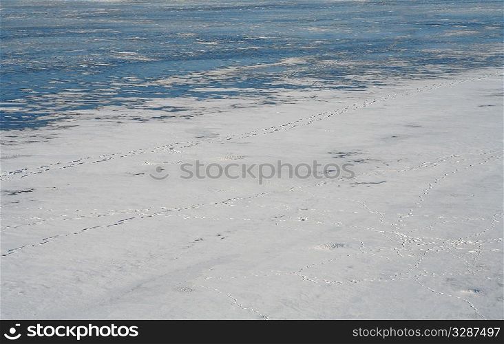 A frozen lake in the middle of winter
