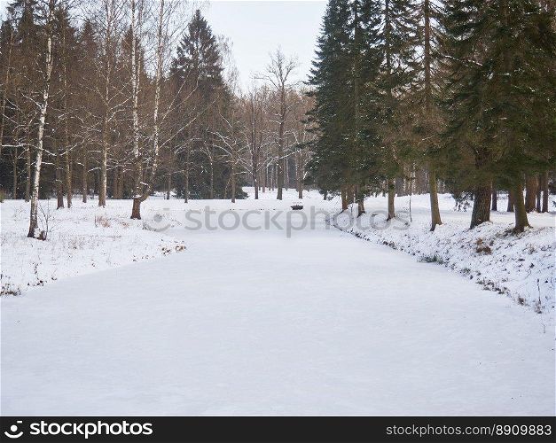 A frozen river with trees along the shore