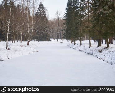 A frozen river with trees along the shore