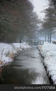 a frozen white winter forest with a ditch