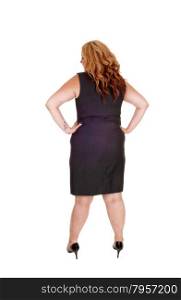 A full lengths picture of a plus size woman in a gray dress standing fromthe back, isolated for white background.