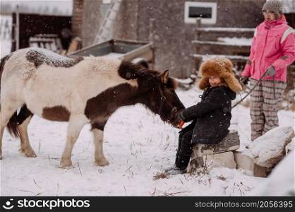 A fun winter story of a girl and a pony.. A two-colored pony and a child play in the village yard 3064.