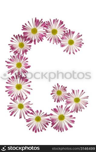 A G Made Of Pink And White Daisies