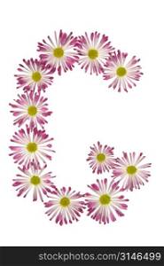 A G Made Of Pink And White Daisies
