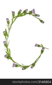 A G Made Of Purple Flowers